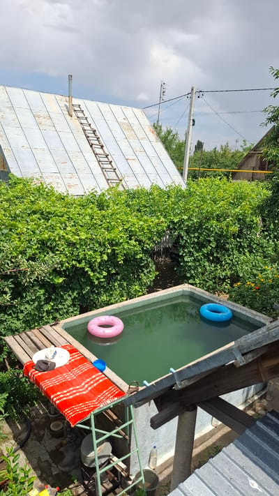 This image depicts a small, rectangular, above-ground swimming pool in a yard. The pool contains murky green water with a pink inflatable ring floating on the left side and a blue inflatable ring on the right side. Adjacent to the pool is a wooden platform with a red and white striped blanket, a white straw hat, and a black face mask. Below the platform, a metal ladder is visible, supporting the structure, along with various containers and bottles. In the background, a large, overgrown vine-covered structure dominates the scene, with a corrugated metal roof and a chimney on top of a building to the left. Electrical wires and poles are also present in the background. The setting appears to be a residential area in Шұбарсу, Kazakhstan, characterized by its rural or suburban feel with lush vegetation and utilitarian structures. The lighting suggests it is daytime, with clouds partially obscuring the sun.