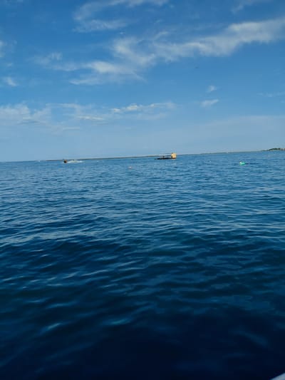 This media file depicts a vast expanse of blue water under a clear sky. The image is oriented vertically, with the horizon running diagonally from the top left to the bottom right. The water exhibits a deep blue hue, with numerous ripples and waves creating a textured surface.
In the distance, along the horizon, a thin strip of land is visible, dotted with some structures. A small yellow platform or raft with people on it is present on the water closer to the land. Further out, a green buoy floats on the surface. The sky is a bright blue, with wispy white clouds scattered across it. A single bird is visible flying in the sky on the left side of the image.
The scene appears to be set during the daytime, likely on a sunny day, given the clear sky and bright water. The activity seems to be recreational, possibly involving swimming, boating, or simply enjoying the water. The presence of the raft and buoy suggests a designated area for water activities. The overall mood is peaceful and serene, conveying a sense of open space and natural beauty. The location is identified as Ақши, Kazakhstan.