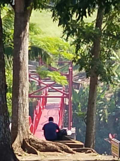 The image depicts a person seated on a wooden structure in a park-like setting. The person, wearing a dark blue shirt and dark pants, is facing away from the camera and towards a bright red bridge with white railings. The bridge appears to be an elevated walkway or crossing. The foreground is dominated by the roots and base of a large tree. Lush green foliage and trees surround the scene, with a hint of sunlight filtering through the leaves, suggesting a bright day. The background shows a natural landscape with varied terrain and vegetation. The style of the bridge and the surrounding greenery could suggest a public park or recreational area within Tabanan, Indonesia.
