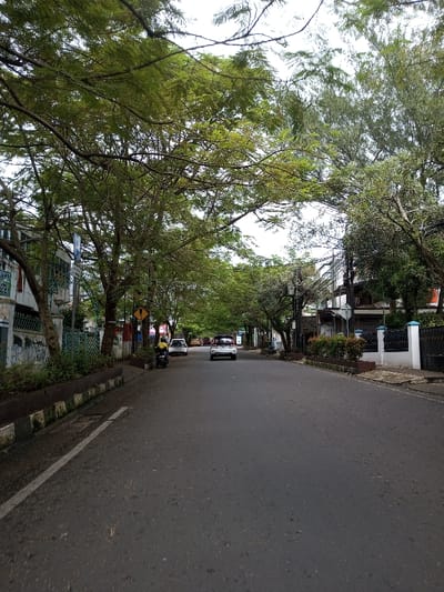 The image displays a tree-lined street in Vaatharawattai, Sri Lanka, under an overcast sky. The asphalt road, extending from the foreground into the distance, features a solid white line marking its left edge. On the left, a raised concrete curb separates the road from a sidewalk and a planter box containing green vegetation. Behind this, various buildings are visible, one exhibiting graffiti on its lower wall. A yellow triangular sign and a partial blue rectangular sign are mounted on poles on the left. A black motorcycle with a yellow seat cover is parked facing the viewer on the left side, with an individual wearing a yellow top seated on it. Further down the street on the left, two white cars are parked. On the right side of the road, a sidewalk fronts a white fence with black ornate metalwork, beyond which buildings are visible. Utility poles with multiple overhead wires are present on the right. A light-colored SUV is observed driving away from the viewer in the center of the road. Dense green foliage from numerous trees forms a canopy over the street.