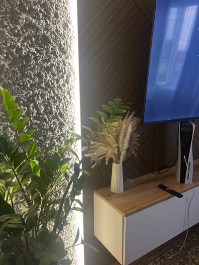 The image depicts a modern living room interior, likely in the city of Qoyankus, Kazakhstan. The scene is well-lit, with a prominent vertical light fixture illuminating a textured grey wall on the left. In the foreground, a lush green ZZ plant is visible. To the right of the plant, on a wooden and white media console, sits a vase filled with dried pampas grass. A black remote control rests on the console, and a white PlayStation 5 console is positioned vertically. A large television screen, displaying a blue screen with reflections of a window and the sky, is mounted on a dark wooden wall with a diagonal pattern. The overall atmosphere suggests a contemporary and comfortable living space.