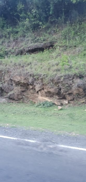 The image displays a roadside scene with dense vegetation to the left, including trees and shrubs. A steep, bare, earthen bank rises from the left. Adjacent to this is a strip of green grass leading to the edge of a dark asphalt road, demarcated by a white line. The overall impression is that of a rural area where the road cuts through a natural landscape.