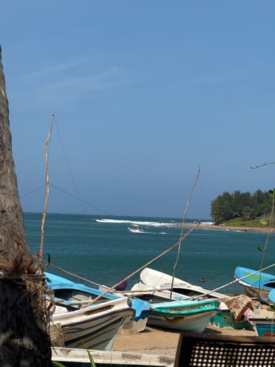 This image depicts a coastal scene in Arugam Bay, Sri Lanka. The foreground is dominated by several small fishing boats resting on a sandy beach. The boats are of various colors, including white, blue, and a light turquoise, with some featuring decorative paintwork. One boat has the registration "DFRE A 1278 KMN" visible. A large tree trunk is partially visible on the left edge of the frame, with thin branches extending upwards.
In the middle ground, the turquoise waters of the Indian Ocean stretch out, with small waves breaking near the shore. Several people are visible in the water, some appearing to be swimming or enjoying the waves. A white boat with a person in it is moving across the water. The background features a lush green tree line along the coastline, with a clear blue sky above. The overall impression is a serene beach setting with typical coastal activity.