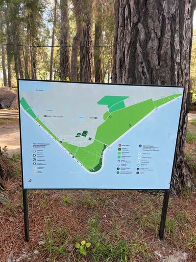 The image shows a map displayed on a signpost, likely indicating attractions and features of Pitsunda, Abkhazia. The map is oriented with the Black Sea at the bottom. The map is divided into areas of green, representing different zones. Various icons on the map denote points of interest such as lakes, resort areas, entrances, paths, a cypress grove, a state dacha, a viewing point, a monument/sculpture, a sea port, a cafe, and toilets. Text in Russian labels locations and provides keys for the map's symbols. The signpost is situated outdoors, surrounded by pine trees and dry pine needles on the ground. The overall impression is of an informational display in a natural, possibly park-like, setting.