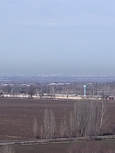 A distant cityscape fades into the hazy horizon under a muted, overcast sky. In the midground, a flat expanse is punctuated by clusters of bare trees, a small blue water tower, and low buildings. Fallow fields stretch across the foreground, also punctuated by sparse, leafless trees lining what appears to be a road or path. The overall scene conveys a sense of desolation and stillness, muted by the diffused light and dull colors.