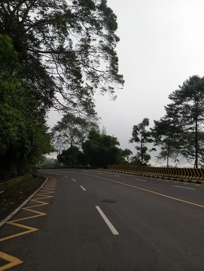 An empty asphalt road curves through a landscape dominated by lush greenery. Tall trees with dense foliage frame the upper portion of the image. Painted yellow lines and white dashes mark the road's lanes. A striped barrier borders the road's edge, indicating a drop-off or embankment. The sky is overcast, suggesting a cloudy day. The scene evokes a sense of tranquility and isolation.