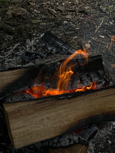 In Volodarka, Ukraine, a close-up view shows a campfire burning amidst dry leaves, twigs, and ash. Two large logs, one partially charred, form the base of the fire. Bright orange flames lick the charred wood, with wisps of smoke rising into the dimly lit, outdoor environment. The ground is covered in a natural mix of earth, dead foliage, and remnants of past fires, creating a rustic and natural setting. There are no people present in the image.