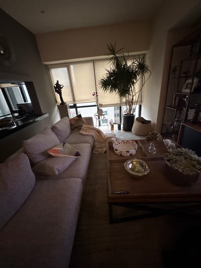 The image shows an interior scene. A sectional sofa with pillows is visible, along with a coffee table decorated with plants and decorative items. A large plant stands near a window with blinds. In the background, there's shelving with various objects. Below the window, there are views of tall buildings. Based on the location information, the scene is in Jesús del Monte, Mexico, and appears to be inside a residence or apartment. No people are visible.