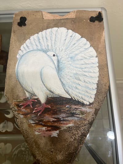 The scene displays a piece of artwork in an indoor setting. The artwork is a painting on an irregularly shaped, earthy-brown, textured substrate, possibly a piece of rock or similar natural material. The top edge of the substrate is rough and uneven, with two dark, raised fasteners, one on the upper left and one on the upper right.

The central subject of the painting is a white fantail pigeon with a large, fanned tail, rendered in white and subtle light blue hues for its feathers. The pigeon is depicted from a slightly rear-right perspective, with its head turned to the left, revealing one dark eye. Its feet are red with visible claws, and a silver band is present on its left leg. The bird stands on a dark brown, textured surface, suggestive of a log or uneven ground. In the lower right quadrant of the painting, a signature "B. Strouse" (or similar) and the date "4-06" (April 2006) are handwritten.

The artwork is positioned vertically, and its right side is bordered by a silver-colored frame and glass, indicating it is likely within a display case or cabinet. Reflections are visible on the glass surface. The background consists of a light-colored wall or ceiling. No individuals are present in the frame. No specific geographic landmarks or identifiers are discernible within the image to determine a precise location in Oklahoma City, United States.