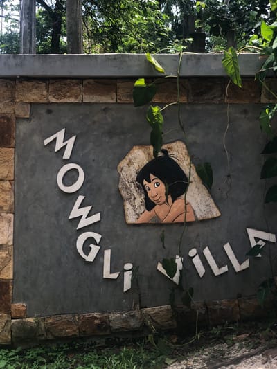 A sign reading "MOWGLI VILLA" is mounted on a grey concrete wall. The letters are white and appear to be made of wood or a similar material. To the right of the "MOWGLI" text, a cartoon depiction of Mowgli from The Jungle Book is painted on a rough, stone-like surface. The sign is partially obscured by green vines and leaves from surrounding foliage. The wall itself has a base of rough-hewn stones. The background shows trees and a bright sky, suggesting an outdoor, tropical location. The image captures the entrance to a villa or property.