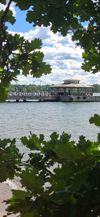 The image depicts a pier extending into a body of water, framed by the leaves of oak trees. The pier features a covered structure, resembling a gazebo, with a sloped roof. Several people are visible on the pier, some lounging and others standing. One individual is leaning against a railing, while a couple is seen relaxing on the deck.

The water appears calm with ripples, reflecting the sky and the surrounding greenery. In the background, a dense line of trees marks the shoreline, with some buildings and what appear to be communication towers visible further inland. The sky is a mix of blue and white clouds, suggesting it is daytime with fair weather. The lighting indicates it is likely a sunny afternoon. The scene evokes a sense of leisure and relaxation, with people enjoying a day by the water.

The overall setting is a natural environment, possibly a park or a recreational area, with the pier providing access to the water for swimming, sunbathing, or simply enjoying the view. The presence of oak leaves suggests a temperate climate and likely summertime. No visible text is present in the image. The orientation of the image is rotated 90 degrees clockwise.