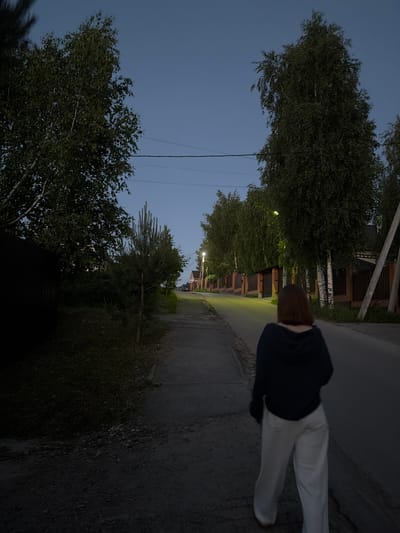 The image depicts a residential street in Новинки, Russia, at twilight or early night. A single individual, viewed from behind, is walking away from the camera on a paved road that gently ascends towards the horizon. The person has reddish-brown, shoulder-length hair and is wearing a dark hooded top and light-colored pants.
The left side of the scene features a dirt or gravel shoulder bordering a grassy area, alongside various trees including smaller conifers and larger deciduous trees. Further left, a dark wooden fence or structure is partially visible. The right side of the street is lined with a series of fences, predominantly constructed of brick with dark wooden gates, behind which residential structures are partially visible. Numerous large deciduous trees, resembling birch trees with their lighter bark, line this side of the road.
Several active streetlights with a yellow-orange glow illuminate sections of the street. Overhead, multiple power lines traverse the deep blue-grey sky. In the far distance, at the crest of the street's incline, a dark vehicle is faintly discernible. The overall lighting is low, indicative of dusk or early evening conditions.