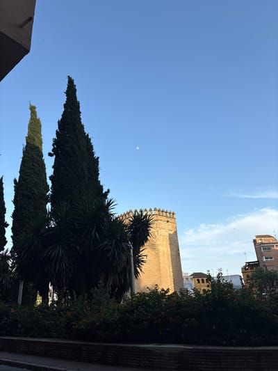 The image shows a view looking upwards in the city of Córdoba, Spain. A stone tower with crenellations is visible, set against a blue sky. A slender crescent moon is visible in the upper left. There are trees and vegetation in the middle and foreground, including tall cypress-like trees and flowering bushes. Buildings are visible in the distance beyond the tower and vegetation. The photograph appears to have been taken from a narrow street or alleyway, with a wall visible on the right side.