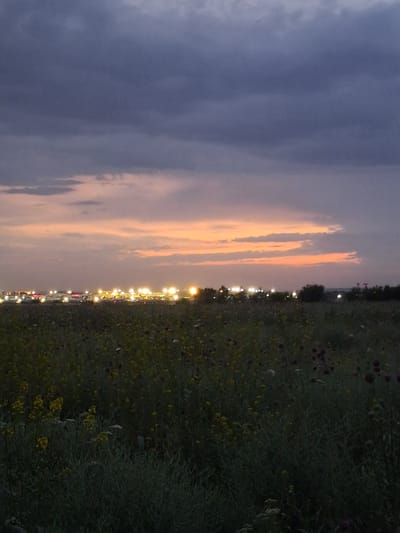 The image depicts a wide, open field of tall grass and wildflowers under a dusky sky. In the distance, a line of bright lights suggests a populated area, possibly a city or town, visible on the horizon. The sky is characterized by dramatic clouds, with shades of purple and gray dominating the upper portion, transitioning to softer hues of orange and pink near the horizon. The field in the foreground is dense with vegetation, including patches of yellow wildflowers and darker, rounded seed heads. The lighting indicates it is either dawn or dusk. Based on the provided location of Guldala, Kazakhstan, this scene likely represents the outskirts of the town, where agricultural land or undeveloped areas meet the urban periphery. There are no people or animals visible in the frame. The overall impression is one of quiet natural beauty juxtaposed with the distant glow of human settlement.