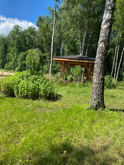 This is a vertical, medium-angle, eye-level shot of a wooden gazebo nestled within a lush green forest, likely in Терехово, Russia. The gazebo, constructed from light-colored wood, features a dark, shingled roof and open sides, revealing glimpses of foliage and possibly some decorative elements within. It is positioned in the middle ground, partially obscured by the thick, textured bark of a large birch tree that dominates the left foreground.
The setting is a sunlit, natural landscape. Tall birch trees with their distinctive white and black bark and dense green canopies stretch upwards, filling the background and creating a sense of depth. To the right of the gazebo and the birch tree, a vibrant, sun-drenched grassy area slopes gently away, its bright green hues suggesting a clear and warm day. In the far left of the frame, a patch of bright blue sky with scattered white clouds is visible, further indicating pleasant weather.
A dense bed of green leafy plants grows in front of the gazebo, adding to the abundance of greenery. A simple wooden post stands among these plants. The overall impression is one of tranquility and natural beauty, suggesting a peaceful outdoor scene on a summer day. There is no visible text or people in the image.