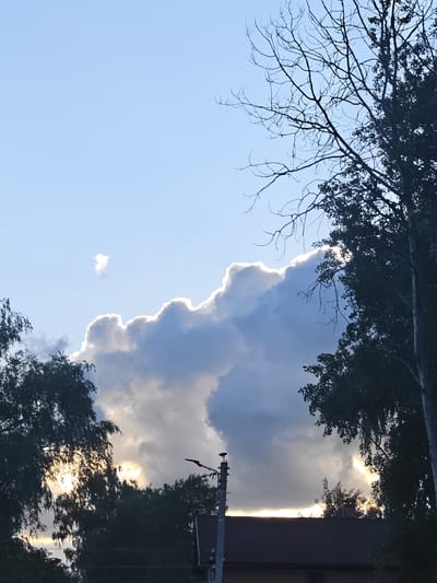The image depicts a late afternoon or early evening sky over Rodniki, Russia, characterized by a dramatic interplay of light and shadow. The sky is a clear, pale blue in the upper portions, gradually transitioning to a warmer, golden hue near the horizon, suggesting the sun is setting. Large, billowy clouds dominate the center of the frame, with their edges dramatically illuminated by the sun, creating a luminous halo effect. The light filtering through and around the clouds is quite bright, indicating a break in the cloud cover or the sun peeking through.

Silhouetted against the sky are the dark, intricate branches of deciduous trees, some bare and spindly, others with dense foliage. The trees frame the central cloud formation, with branches reaching across the frame from both the left and right sides.

In the foreground, the dark roofs of houses are visible, along with the tops of some trees and a utility pole with its fixtures. The overall scene is quiet and atmospheric, evoking a sense of natural beauty and the peaceful transition from day to night. The weather appears to be fair, with clouds adding visual interest to the sky. There is no visible text in the image.