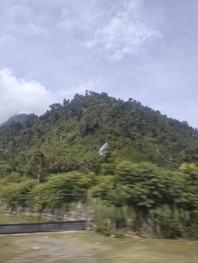 The image shows a densely forested mountainside under a cloudy sky. The trees are predominantly a deep green, covering the entirety of the mountain's slope, with some taller trees interspersed among the dense foliage. The foreground is blurred due to motion, showing a grassy area with a fence and some indistinct structures. A greyish horizontal band, possibly a road or barrier, runs across the lower part of the image, also blurred. The overall impression is that the photo was taken from a moving vehicle. The location is described as Keutapang, Indonesia, implying a natural, possibly rural or semi-rural setting.
