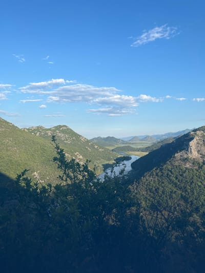 The image depicts a scenic landscape viewed from a high vantage point, overlooking a river winding through a valley. The foreground is dominated by the dark silhouettes of lush green foliage, with branches and leaves obscuring the lower portion of the scene. Beyond the foliage, the landscape opens up to reveal rolling, verdant hills covered in dense forests. The hills are rugged and textured, with patches of lighter rock visible on their surfaces.
A river or large body of water snakes its way through the valley, reflecting the bright blue sky. The water appears calm and reflects the surrounding greenery. In the distance, more mountains are visible, fading into a hazy, blue-green expanse. The sky above is a vibrant blue, dotted with scattered white, fluffy clouds. The lighting suggests it is daytime, with the sun casting a gentle illumination on the landscape.
While the prompt mentions the city of Rvaši, Montenegro, the image itself does not contain any explicit visual cues that specifically identify this location. However, the geographical features of the landscape – the mountains, the valley, and the river – are consistent with the natural beauty found in Montenegro, a country known for its diverse and dramatic terrain. The image captures a tranquil and expansive natural environment. There are no people or discernible man-made structures visible in the frame.