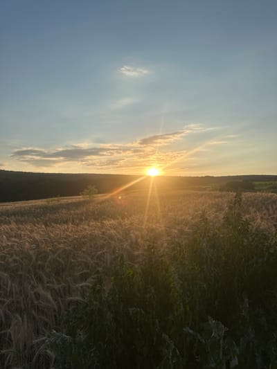The image depicts a sunset over a field of ripe wheat in Capaclia, Moldova. The sun, low on the horizon, casts a warm, golden light across the landscape, with visible sunbeams radiating outwards. Wispy clouds are scattered across the pale blue sky, tinged with orange and yellow from the setting sun. In the foreground, the wheat stalks are illuminated, creating a textured field that extends towards a treeline in the distance. The overall scene is serene and rural.
