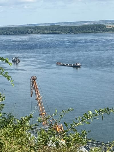 The image depicts a wide river, likely the Danube, with a freighter carrying cargo and a smaller boat on its surface. In the foreground, a large orange crane is visible, suggesting industrial activity. The background shows a dense green forest lining the opposite bank of the river, with a hazy horizon line indicating a distant landscape. The scene is captured from an elevated vantage point, with lush green foliage in the immediate foreground partially obscuring the view. The sky is partly cloudy, with a bright, clear day. This view is characteristic of the Svishtov waterfront in Bulgaria, a significant port on the Danube River.