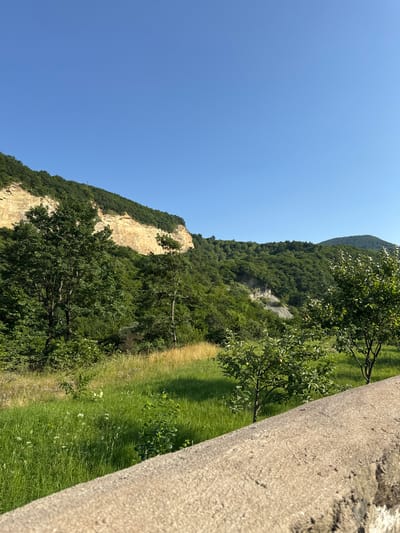The image depicts a natural landscape with a clear blue sky. In the foreground, a textured concrete structure runs diagonally from the bottom right corner upwards, partially obscuring a lush green field dotted with small white wildflowers. To the left of the field, several trees with dense green foliage are visible. Behind the field and trees, a large, rocky cliff face with a yellowish hue dominates the middle ground, and it is covered in green vegetation. The background consists of rolling hills covered in dense green trees, gradually receding into the distance. The scene appears to be a scenic viewpoint in a natural setting, possibly a park or a mountainous area. There are no people or animals visible in the image.