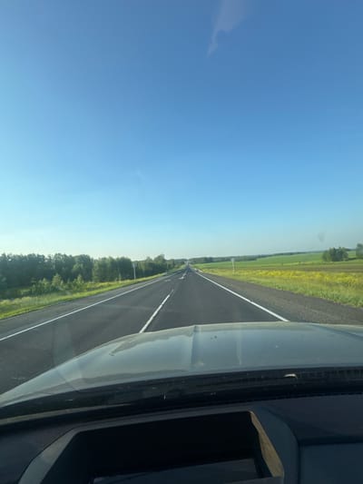 A POV shot from inside a vehicle shows a clear blue sky with a faint wispy cloud. The vehicle is on a paved highway, with white lane markings visible. To the left of the road, there is a line of green trees and foliage, with some yellow wildflowers interspersed. To the right of the road, there are fields of green crops and yellow flowers. The highway stretches into the distance, appearing to lead towards a wooded horizon. The dashboard and hood of the vehicle are visible in the foreground. The scene appears to be a rural landscape in Zeledeevo, Russia, likely during daylight hours given the clear sky.