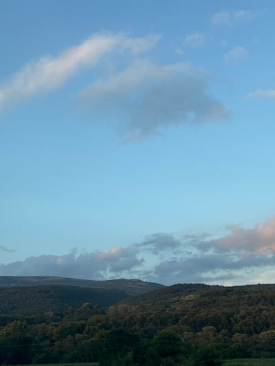 The image depicts a serene landscape with rolling hills covered in dense, dark green foliage under a vast, pale blue sky. Scattered across the sky are wispy clouds, some appearing white and bright, others tinged with a soft pinkish hue, suggesting the gentle light of either dawn or dusk. The foreground is dominated by the rich texture of trees and vegetation, with the undulating terrain of the hills rising behind them. The scene is one of natural beauty, evoking a sense of calm and tranquility. It is not possible to determine the specific location in the city of Sopot, Serbia from the visual information provided in the image.