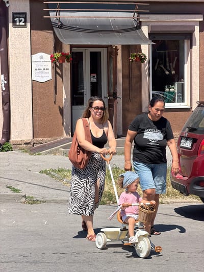 Two women and a young child are walking on a sidewalk in Taganrog, Russia, on a sunny day. The woman on the left is wearing a black tank top, sunglasses, a long zebra-print skirt, and brown sandals. She is carrying a large brown bag over her shoulder and pushing a tricycle with the child. The child, wearing a pink shirt, white shorts, and a blue bandana, is sitting on the tricycle, which has a wicker basket on the front. The woman on the right is wearing a black t-shirt with "GOODLUCK" printed on it, denim shorts, and black sandals. She is walking next to the tricycle.
Behind them is a building with a brown facade and a dark awning over the entrance. A sign with Russian text and a building number "12" is visible on the wall. There are flower pots with red flowers hanging near the entrance. A red car is parked on the right side of the image. The ground is paved with asphalt and concrete.