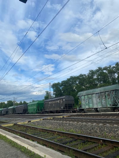 A long train with multiple freight cars is parked on railroad tracks. The train cars are a mix of dark gray and green, with some bearing the Cyrillic text "ФОСАГРО". Overhead, power lines stretch across a blue sky dotted with white clouds. Green trees form a dense line behind the train. In the foreground, the railroad tracks are visible, with gravel ballast and some overgrown grass. A concrete platform runs along the edge of the tracks. The scene is set in an outdoor industrial or transportation hub, possibly the city of Borodulino, Russia.