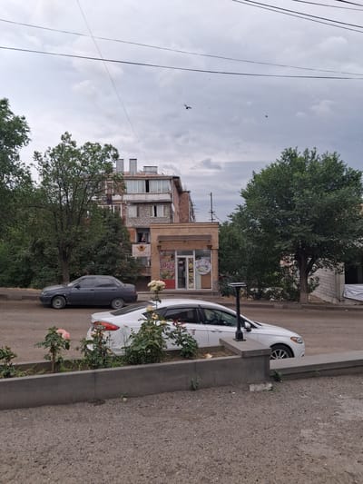 In Yeghegnadzor, Armenia, on a cloudy day, a dark grey sedan is parked on a dirt road in front of a small building. Behind the sedan, a white modern sedan is partially visible, facing away from the camera. In front of the white sedan, a concrete planter box contains several rose bushes with pink and white blooms. The building behind the vehicles appears to be a shop with large glass windows and signage. Above the shop, a multi-story residential building with balconies and several chimneys is visible. Trees and power lines are present in the background, and a few birds are flying in the overcast sky.