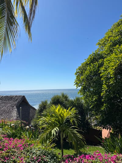 A tranquil, horizontal view of a tropical paradise. Lush green trees and a vibrant display of pink flowers frame a sparkling blue ocean. A thatched-roof hut nestles amidst the verdant vegetation. The clear sky and shimmering water evoke a sense of serenity and beauty.