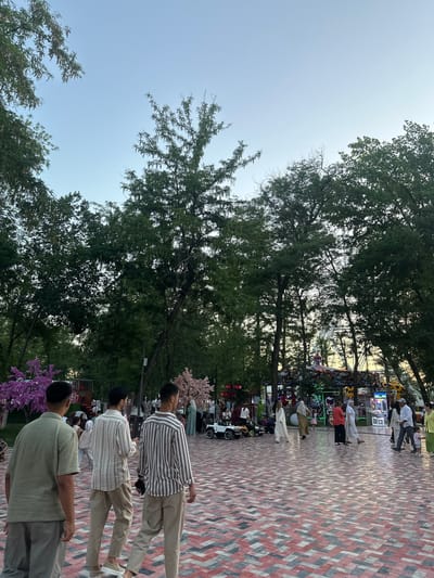 The image depicts a lively outdoor scene in Manas, Kyrgyzstan, likely during the day given the bright sky and dappled sunlight filtering through the trees. The foreground features three young men walking along a patterned brick pathway. The man closest to the camera wears a light green t-shirt and grey pants. The middle man is dressed in a striped shirt and tan pants, holding a phone. The furthest man also wears a striped shirt and tan pants.
The pathway is bordered by lush green trees, with a decorative pink flowering tree visible to the right of the middle and furthest men. In the background, a row of stalls or booths are set up, suggesting a market, fair, or festival. These stalls are adorned with colorful lights and displays, indicating a vibrant atmosphere. Several people are visible in and around the stalls, and some small vehicles, possibly golf carts or similar, are parked nearby. The overall mood appears festive and social, with people enjoying the outdoors and the offerings of the stalls. The weather seems pleasant, with a clear, light blue sky.