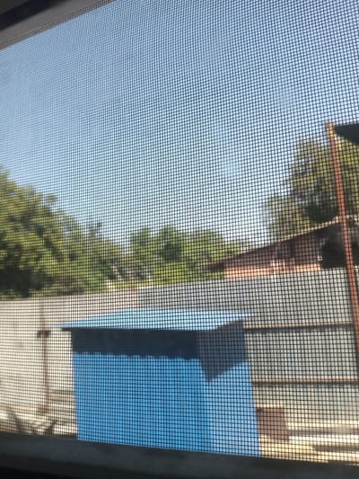 The image shows an outdoor scene viewed through a window screen. The sky is clear and blue, suggesting it is daytime with good weather. In the foreground, the distinct pattern of the window screen overlays the view.

Beyond the screen, the scene depicts a residential or semi-industrial setting. There is a structure with a blue front and a dark roof, possibly a small shed or outbuilding. Behind this, a light-colored wall or fence is visible. Further in the background, a building with a reddish-brown roof can be seen. Lush green trees line the horizon, indicating a locale with vegetation. There are also some structures that appear to be made of metal, perhaps part of a fence or an industrial element. The overall impression is of a somewhat cluttered, lived-in outdoor space on a sunny day.

There is no discernible activity or event taking place; the image appears to be a still capture of the environment. No people are visible. No text is present in the image. The location context provided is Tbilisskaya, Russia.