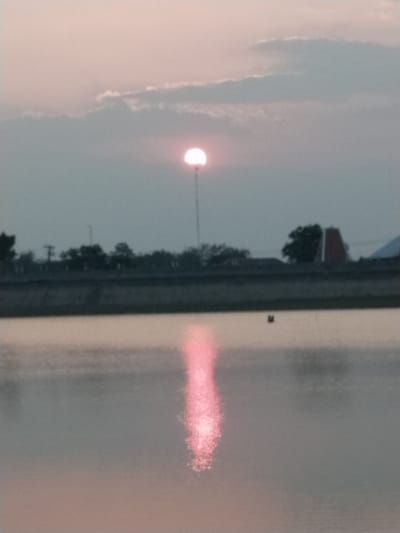The image depicts a serene sunset over a body of water, likely a reservoir or lake, in Sambirejo, Indonesia. The sun, partially visible and appearing as a bright pinkish-orange semi-circle, is low on the horizon, casting a warm glow. A tall, slender pole, possibly a light post or communication tower, is silhouetted against the sky with the sun positioned just above it.

The sky is a blend of pale pink and muted grey, with wispy clouds adding texture. Below the sky, a line of trees and some structures are visible, forming a distant treeline. Among these structures, a building with a distinctive reddish-orange roof, possibly a temple or religious building, stands out. The water in the foreground reflects the colors of the sunset, creating a shimmering pinkish-orange column of light that stretches from the sun's reflection towards the viewer. The water's surface appears calm, with only slight ripples. In the water, a small, dark object, possibly a bird or a piece of debris, is visible in the distance. The overall atmosphere is tranquil and picturesque, capturing the end of the day in Sambirejo.