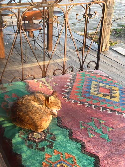 A tan and brown tabby cat is depicted sleeping, curled tightly into a ball on a vibrantly patterned cushion or rug. The textile features geometric designs in shades of green, pink, red, blue, yellow, and black, and is partially illuminated by direct sunlight, casting a warm glow on the cat's fur. This scene is situated in an outdoor or semi-outdoor area within Argveta, Georgia. In the midground, an ornate, dark metal railing with heart-shaped scrollwork serves as a partial barrier. Behind the railing, a wooden deck is visible, furnished with two dark wooden stools with circular seats positioned beneath a table. Beyond the deck, an unpaved surface of light-colored stone or gravel is present. The entire scene is under strong, directional natural light.