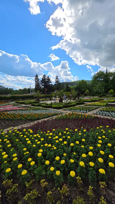 The image depicts a beautifully manicured garden, likely within the Balchik Botanical Garden or Palace in Balchik, Bulgaria, given the context. In the foreground, neat rows of vibrant yellow marigolds are meticulously planted, interspersed with dark soil and visible irrigation lines. Behind these, further geometric flower beds display a variety of colorful blooms, including pinks, oranges, and reds, arranged in distinct patterns. Formal hedges create pathways and define garden sections. In the middle ground, several individuals are visible, casually strolling and observing the gardens. One person stands near a fountain. Palm trees and other sculpted greenery are strategically placed throughout the area. The background features a dense line of evergreen trees, followed by rolling hills and a bright blue sky filled with dramatic, puffy white and grey clouds. The overall impression is one of a well-maintained public garden on a sunny day.