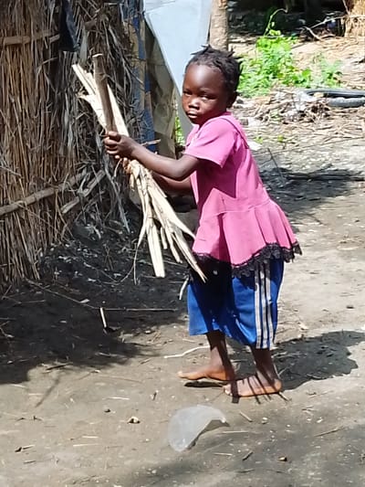 A young Black child stands in a dusty, outdoor setting in Kajola, Nigeria. The child is wearing a bright pink t-shirt with a ruffled hem and black trim, paired with blue athletic shorts that have white stripes down the sides. They are holding a bundle of dry, straw-like material in their hands, with their arms bent as if they are carrying or gathering it.
The background shows a rustic structure made of interwoven reeds or bamboo, suggesting a humble dwelling or shelter. To the right of the child, there is a patch of green foliage and some scattered debris, including what appears to be a discarded tire. The ground is a mix of dirt and dry leaves or twigs. The lighting indicates it is daytime, likely sunny, casting distinct shadows on the ground, including a prominent shadow of the child. The child's expression is serious, looking directly at the camera. The overall scene conveys a sense of everyday life in a rural or semi-rural Nigerian environment. There is no visible text in the image.