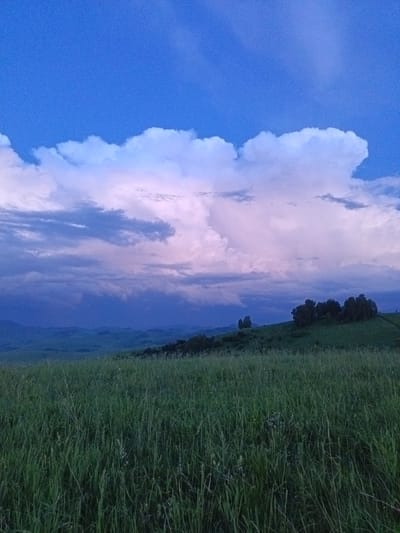 The image depicts a vast, verdant meadow in the city of Sadovyi, Russia, under a twilight sky. In the foreground, tall, green grass fills the frame, with some stalks appearing dry and lighter in color. Beyond the meadow, rolling hills recede into the distance, with a cluster of dark green trees silhouetted on the crest of a hill. The sky above is a dramatic display of clouds, tinged with hues of purple and pink from the setting sun, contrasting with the deep blue of the upper atmosphere. The overall scene conveys a sense of natural tranquility and the transition from day to night in a rural Russian landscape.