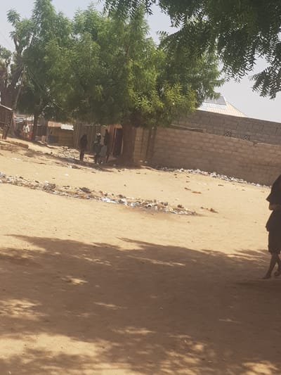 The scene depicts a street in Dutsinma B, Nigeria. The street is unpaved and has litter along the sides. A brick wall stands on one side of the street. A large tree stands on the other side, partially obscuring buildings and people. Several people are walking on the street. The scene is bathed in sunlight, casting shadows on the ground. A partial view of a building with a solar panel is visible behind the tree. A person's legs are partially visible in the top-right corner.