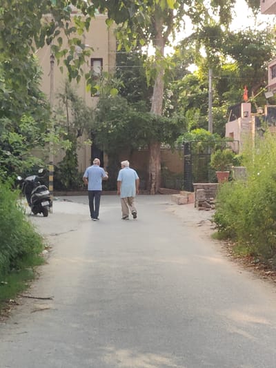 Two elderly men are walking away from the camera on a paved road in Gurgaon, India. The man on the left is wearing a light blue shirt and dark trousers, while the man on the right is wearing a light blue shirt and tan trousers. To the left of the road, a black scooter is parked. The surroundings are green with trees and foliage, and buildings are visible in the background. The sun appears to be setting, casting warm light on the scene.