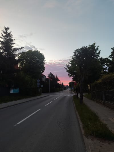 This image captures a suburban street in Tczew, Poland, at dusk. The sky displays a gradient of soft pink and pale blue hues, indicating the transition from day to night. Trees line both sides of the asphalt road, casting shadows. On the left, a tall pine tree stands prominently, with residential buildings and dense foliage partially visible behind it. A sign with abstract graphics is affixed to a fence on the left. On the right side of the road, a sidewalk is present, bordered by grass and a metal fence. Further down the road, a "STOP" sign is visible, along with other traffic signs and a pedestrian crossing. The road itself is marked with white lines and appears to be slightly wet, reflecting the ambient light. The overall scene evokes a sense of calm and quietude.