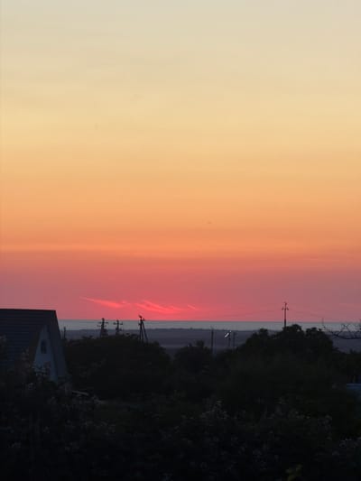 The image depicts a rural landscape at sunset. The sky is a gradient of warm colors, transitioning from a pale yellow at the top to a vibrant pink and red near the horizon. Silhouetted against the colorful sky are dark shapes of trees and vegetation, along with several utility poles. In the foreground, to the left, a portion of a building with a dark roof and a light-colored triangular facade is visible, partially obscured by foliage. The overall scene suggests a quiet evening in a rural area, likely within the Ароматненское сельское поселение in Ukraine, given the context of the prompt. There are no people visible in the image.