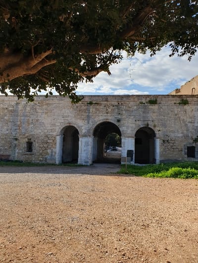 The image shows a section of a stone wall with a series of arched openings. The wall is located in Oran, Algeria, at the coordinates 35.706, -0.65. The wall appears to be part of a larger building or structure. The arched openings are positioned on the right side of the wall, while the left side is dominated by a large tree with thick, green leaves. The ground in front of the wall is covered with a layer of small stones, and the area is bathed in the light of a sunny day. The sky above is a pale blue, partially obscured by thin clouds. The image captures the architectural detail of the wall, the contrast between the stone and the foliage, and the expansive nature of the space surrounding the wall. No people are visible in the image.