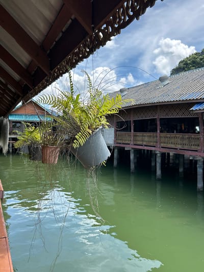 The image depicts a scene in Tambon Ko Panyi, Thailand, a village built entirely on stilts over the water. In the foreground, several hanging plants with long, trailing vines are suspended from a wooden structure. These plants are in large pots, one of which is a dark gray, weathered plastic planter, and another appears to be a reddish-brown ceramic pot. The water below is a murky green color, reflecting the sky and the surrounding structures.

In the mid-ground, a weathered building with a corrugated roof and wooden lattice work along its walls stands on sturdy stilts over the water. The building has an open-air, covered walkway or veranda. Further back, another smaller building with a turquoise roof is visible, also supported by stilts. The overall impression is one of a tranquil, waterfront village setting, typical of the stilt villages in Southern Thailand. The sky above is partly cloudy with white cumulus clouds against a blue expanse. A lush green, tree-covered hillside is visible in the far background.