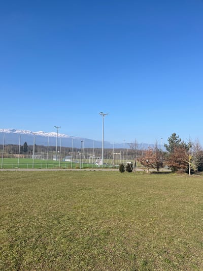 This image captures an expansive outdoor sports complex or park area on a clear, sunny day. The foreground and much of the midground are covered by a wide expanse of green grass, indicative of a maintained field or common area. Beyond this grassy expanse, multiple sports pitches are visible, delineated by chain-link fences. Several tall, slender floodlight poles, each equipped with multi-directional lamps, are spaced throughout the sports facility, suggesting it is equipped for evening use.

In the background, a line of trees with largely bare branches marks the edge of the complex, hinting at either late winter or early spring. Behind these trees, a magnificent mountain range rises into the distance, clearly displaying snow-capped peaks under the bright sun. The sky overhead is a pristine, cloudless blue, contributing to the overall sense of clarity and good weather.

No people are visible in the scene, and no specific activities or events are taking place. The bright, even lighting indicates it is daytime, likely mid-morning to afternoon. The prominent snow-capped mountains serve as a strong geographical indicator, aligning with the provided location context of Meyrin, Switzerland, near the Alps. There is no visible text within the image.