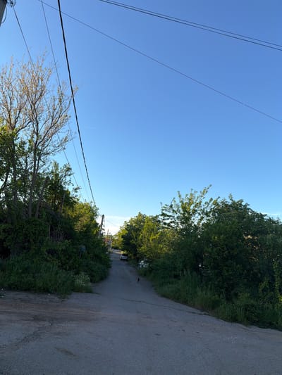 The image shows a narrow asphalt road extending into the distance, bordered on both sides by dense green vegetation. Overhead, power lines crisscross the clear blue sky. A small animal, possibly a dog or cat, is visible standing on the road further ahead. A car is also faintly visible in the distance. The location is likely in the Rupkite, Bulgaria area, given the request to include this information.