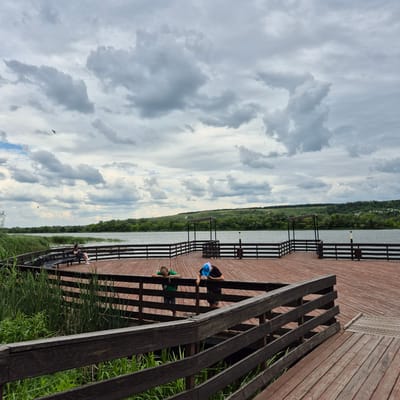 The image shows a wooden pier on a cloudy day with a body of water and lush green hills in the background. Two young boys are standing at the edge of the pier, looking down. One boy is wearing a green t-shirt and the other is wearing a black t-shirt and a blue cap. A woman is sitting on a bench further down the pier, looking at her phone. Reeds and tall grass grow along the edge of the pier. The sky is filled with dramatic, grey clouds.
