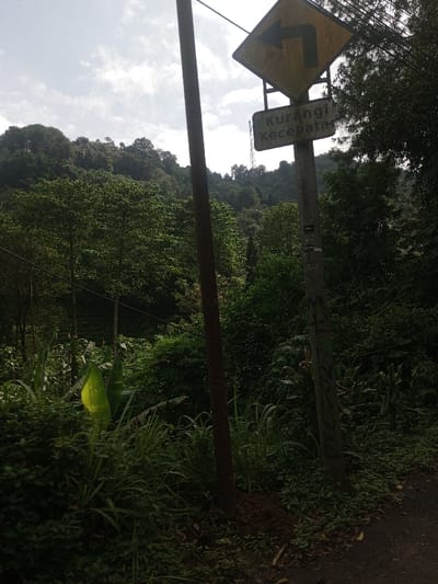 The image displays a lush, verdant outdoor scene, likely a mountainous or hilly area with abundant vegetation. The perspective is from ground level, looking slightly upwards.
In the foreground, two vertical poles are prominent. The pole on the left is a dark brown, possibly wooden or metal, and appears to be a utility pole with a thin wire running horizontally across the lower mid-section of the image. The pole on the right is lighter in color, possibly grey or light brown, and is a road sign pole. It has some dark markings or graffiti on its lower section.
Attached to the road sign pole are two signs. The top sign is a yellow diamond-shaped warning sign with a black border, indicating a sharp turn to the left with an arrow pointing in that direction. Below it, a rectangular green sign with white text reads "Kurangi Kecepatan," which translates from Indonesian to "Reduce Speed."
The immediate ground around the base of the poles is covered with dense green undergrowth, including various types of grass, broad-leafed plants (one large, light green leaf is particularly noticeable on the left), and some darker soil/dirt patches. A narrow, unpaved path or track is visible on the far right at the bottom.
The midground and background are dominated by a dense forest or woodland covering rolling hills. The trees vary in height and shade of green, suggesting a mix of species. Some trees appear taller and more mature, while others form a dense canopy. There's a slight variation in the greenery, hinting at different types of cultivation or natural growth, possibly including some tea plantations in the distance, though it's not definitively clear.
In the upper background, the sky is visible, showing scattered white clouds against a brighter, lighter blue or overcast sky, suggesting it is daytime, possibly late morning or early afternoon given the soft but clear light. A distant structure resembling a communication tower or utility tower can be faintly seen on the ridge line in the upper right background, amidst the trees.
The overall impression is one of a rural or semi-rural landscape, possibly along a winding road, with a strong emphasis on nature and caution advised due to the road conditions.