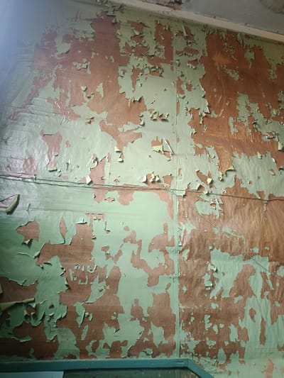 The image shows a close-up of a wall in Arkhangelsk, Russia, where the green paint is peeling off, revealing a brown surface underneath. The peeling paint creates irregular shapes and textures across the wall. Two thin wires are visible running horizontally across the wall, and a vertical seam is also present, suggesting the wall is constructed from panels. The environment appears to be indoors, possibly an old building, with a slightly dusty or aged appearance. The lighting suggests it might be daytime, but the specific location within the city is not discernible from the image itself.
