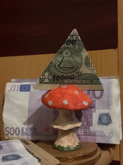The image shows a still life arrangement of currency and decorative objects. A folded US one-dollar bill forms a triangle, displaying the pyramid and "NOVUS ORDO SECLORUM" on the reverse. Behind it is a stack of Euro banknotes, with a prominent 500 Euro note visible. A decorative mushroom, painted red with white spots, sits on top of the bills. The scene appears to be inside a wooden container. The location of Ново-Никольское, Russia is not identifiable from this image.